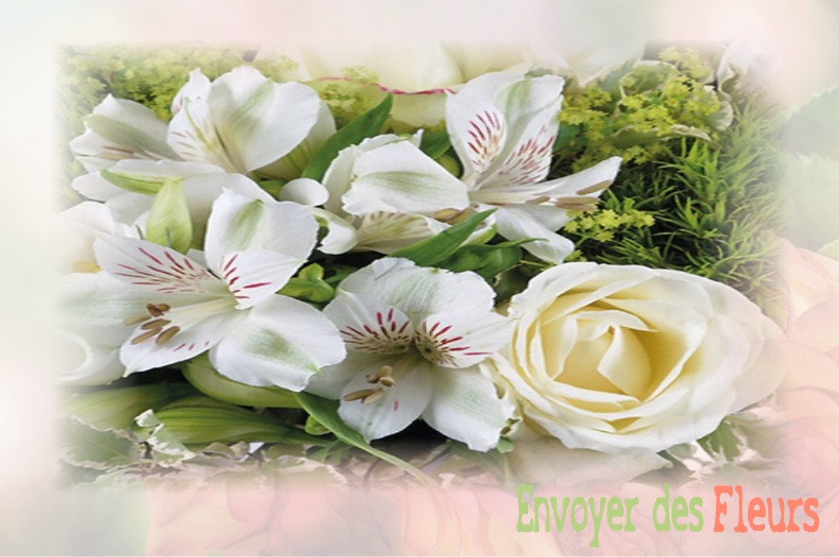 envoyer des fleurs à à VILLE-SUR-RETOURNE